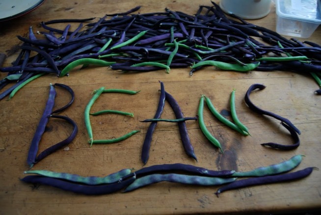 Beans-654x438.jpg